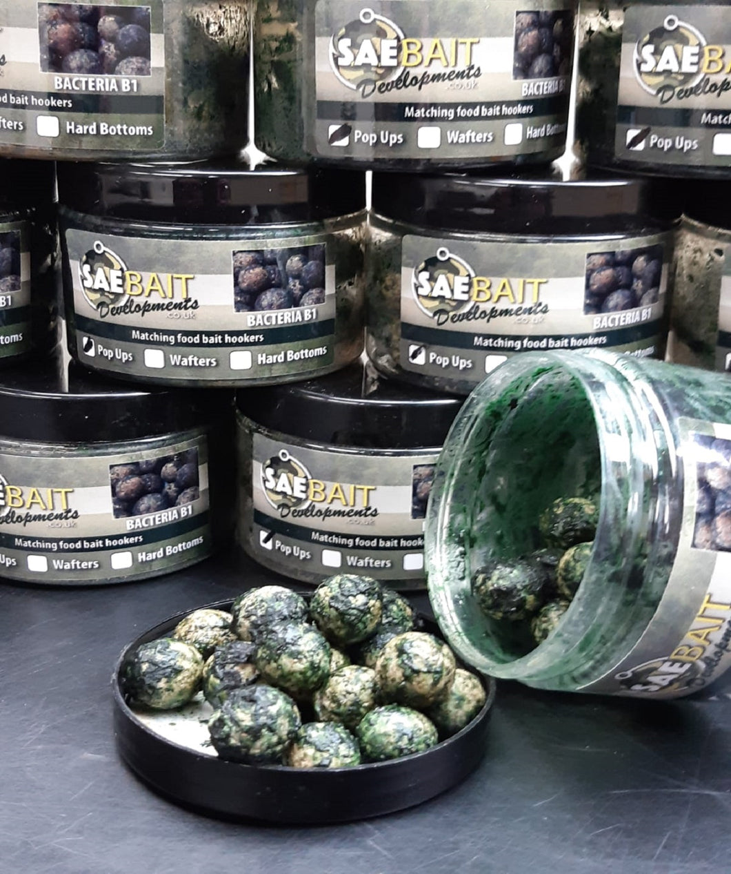 Bacteria B1 Hookbaits