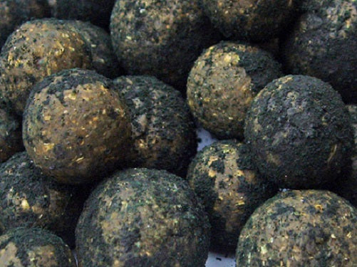 Bacteria B1 Boilies